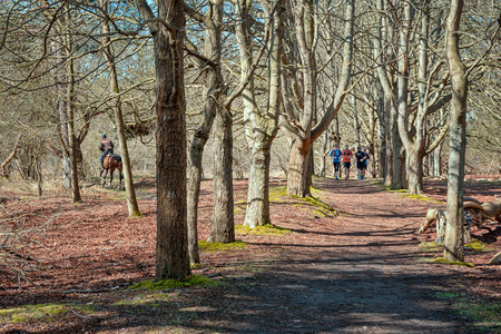 Santpoort, Netherlands,  April 5, 2015: Horse rider and runners active in the park in the seventeenth century Duin & Berg estateのeditorial素材