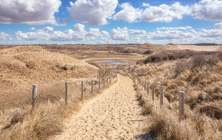 Typical Dutch dune landscape that is part of the Zuid Kennemerland National Parkの写真素材