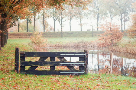 Grazing sheep on the dike just outside the fortified village of Bourtagne in the Netherlandsの写真素材