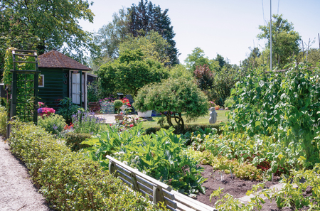 Zaandam, The Netherlands, July 2, 2018: Garden shed surrounded by a beautiful decorative kitchen and flower garden in The Netherlandsのeditorial素材