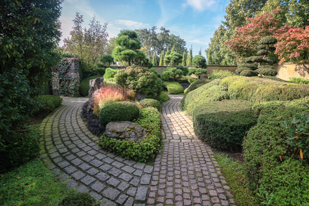 Beautiful design garden full of different types of buxus plants somewhere in the Netherlandsの写真素材