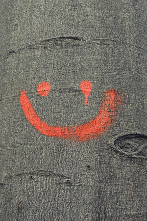 The bark of a tree with moss with an orange smilley.の写真素材