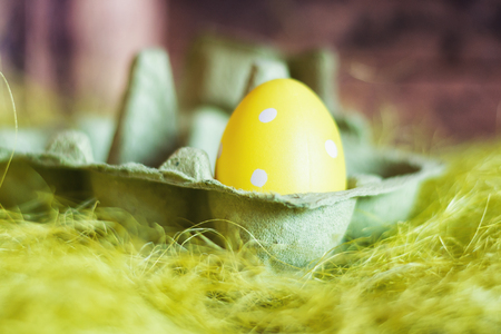 Easter composition with green egg box filled with a yellow fake egg with white dots.の写真素材