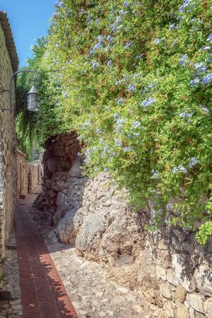 Impression of a narrow street with beautiful blooming blue flowers on one side in the old center of the  picturesque medieval French village of Ezeの写真素材