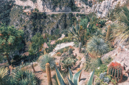 The beautiful botanical garden with exotic plants like cacti and yuccas in the village of Eze in...