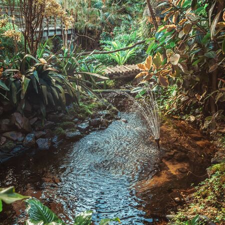 Flowing brook  in the rainforest in the covered park the OrchideeÃ«n Hoeve in The Netherlandsの写真素材