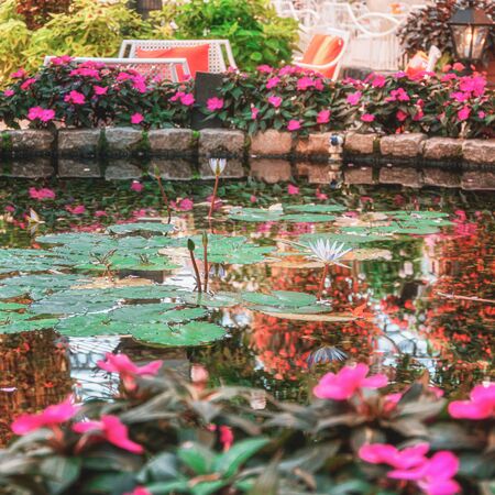 Luttelgeest, The Netherlands, November 14, 2018: Pond surrounded by impatiens in the covered park the Orchideeen Hoeveのeditorial素材