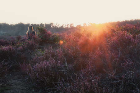 Woman enjoys the setting sun in the moors in the De Veluwe National Park in the Netherlandsの写真素材