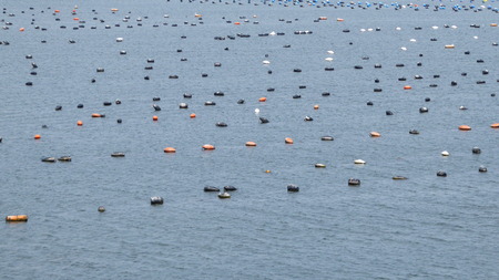 Sea farm in Mediterraneanの写真素材