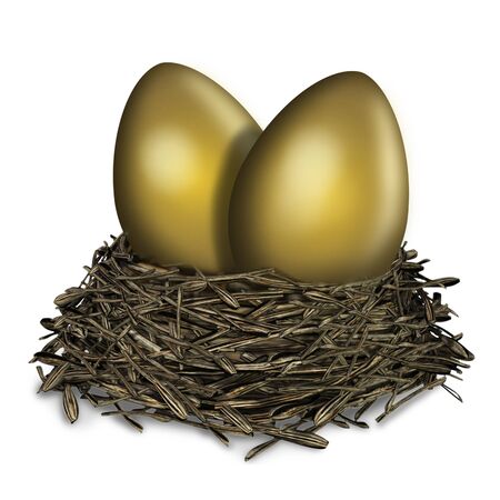 Two golden egg in a nestの写真素材