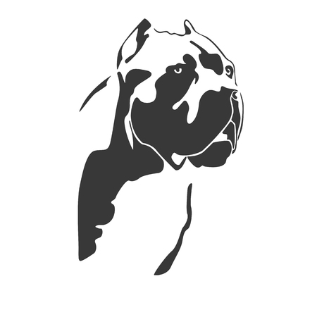Portrait of dog cane Corso Italiano. The head of the Molossian. Black on a white background. Vector illustration.のイラスト素材