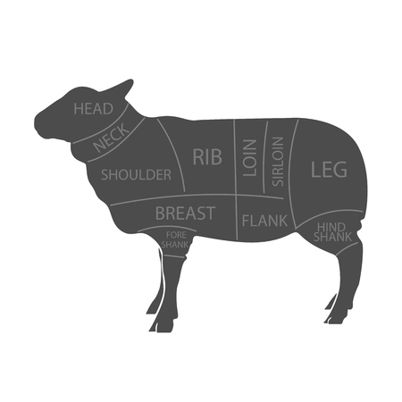 Scheme of cutting of lamb meat with the line of cutting. Design for butcher shop, butcher shop, banner. Diagram on white background vector illustration.のイラスト素材