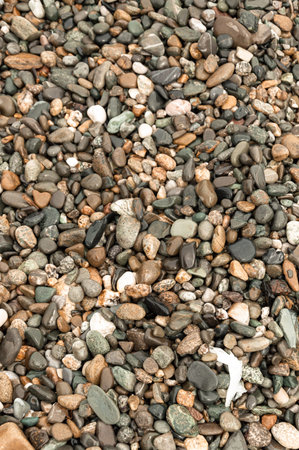 multi-colored pebbles on the seashore shimmers from the water in the sun free space close-up texture...