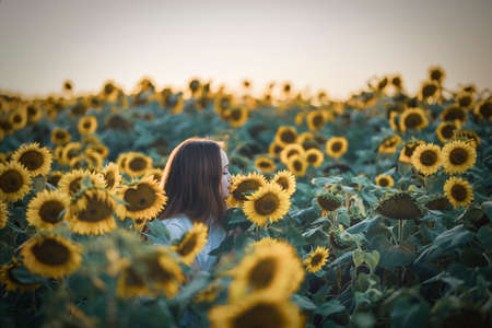 Happy beautiful female smell a sunflower flower with close eyes, smiling and having fun in a sunflower field on a beautiful summer day.の写真素材