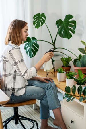 Woman spraying houseplant at home, she is caring about her plants. Florist take care of domestic flowers, pour liquid, fertilize, enrich dry ground, horticulture, gardening concept.の写真素材