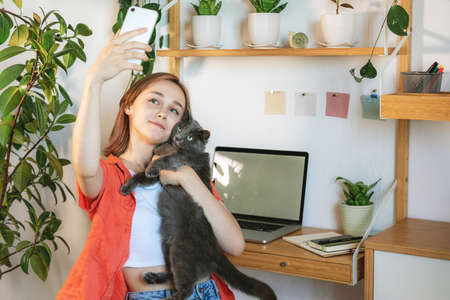Young woman entrepreneur working on laptop at home with her cat together in modern room with plants. Girl using a computer for study online at home, female user busy on a distance internet job. Cozy office workplace, remote work or learning concept. Technology, online training.の写真素材