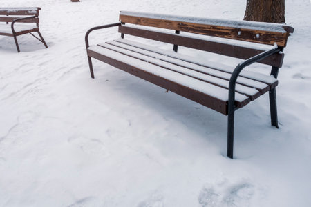 Park benches in winter season.の写真素材