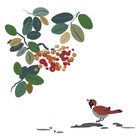 Sparrow bird looking at branch with berries and leaves. Isolated on white backgroundのイラスト素材