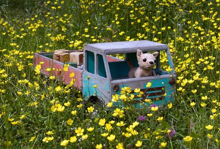 The old children's machine among blossoming buttercups.の写真素材