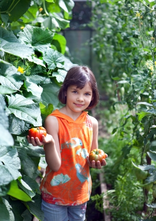 Girl stands in a greenhouse with tomatoes in her handsの写真素材