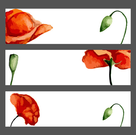 Banners set with blossom poppies. Watercolor. Vector illustrationのイラスト素材