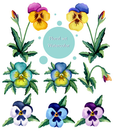 Set of watercolor flowers. Vector illustrationのイラスト素材