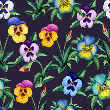 Pansy violet pattern. Watercolor. Vector illustrationのイラスト素材