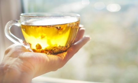 A transparent cup of herbal tea in the hands