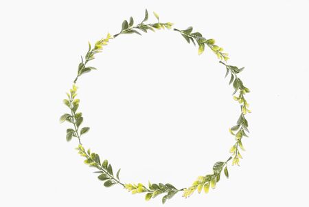 Green leaves of a plant and on a white background in the shape of a circle. Place for text.の写真素材