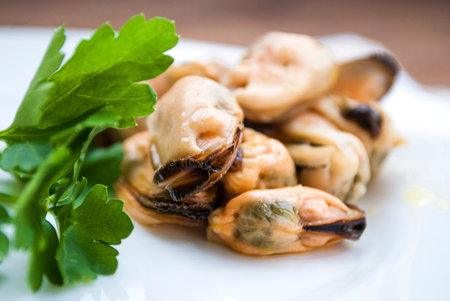 Mussels in oil on a white plate with herbs, close-up