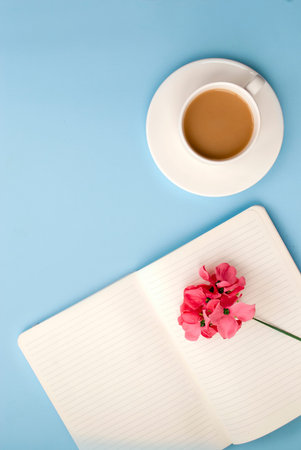 White open notebook for notes, white cup of coffee with milk, pink spring flower. on a blue...