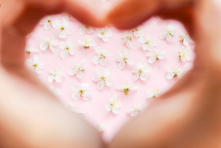 Heart symbol. White flowers, pink background. Romance. Valentine's Day. Card. The beginning of...