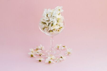 The concept of spring mood. White flowers in a transparent glass. Creative.の写真素材