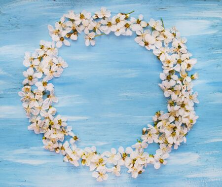 Floral frame of white flowers on a blue wooden board. Place for textの写真素材