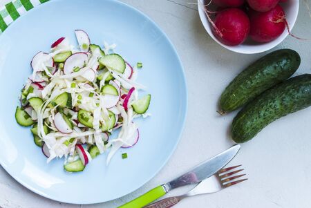 Healthy spring salad with radishes and cabbage cucumbersの写真素材