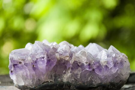 Amethyst. Natural crystal without processing on a green background. Place for textの写真素材