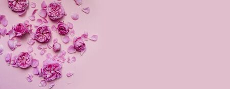 Floral arrangement with pink roses flower buds on a pink background. Flatlay, top view. Place for text. Bannerの写真素材
