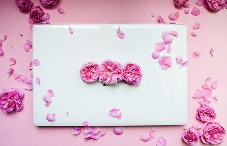A white laptop is strewn with pink flowers on a pink background. Flat lay