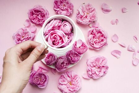 Postcard template. White cup with pink flowers pink background. Valentine's Day. Women's Day. Festive background. Morning concept. Flat lay. Close-upの写真素材