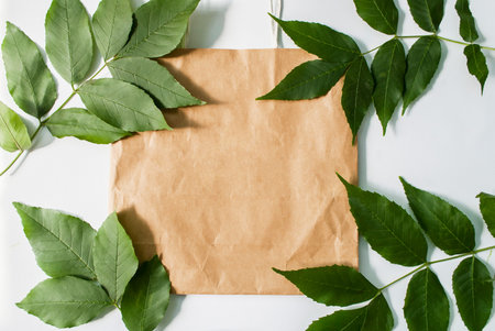 Paper bag and green leaves isolated on white background. Ready-made eco shopping concept. Top view....