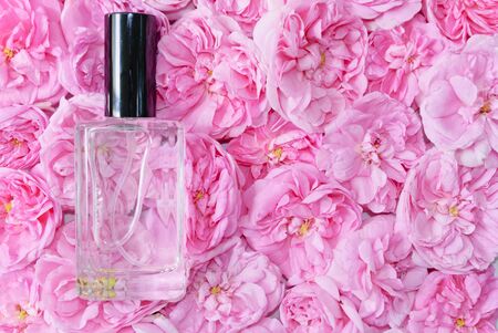 A transparent bottle of perfume lies in pink buds. Top view.の写真素材