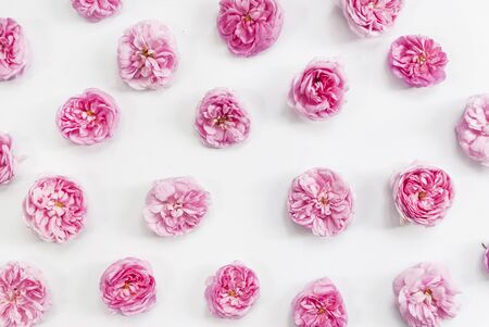 Flower composition. Pink rose buds on a white background. Top view. Flat layの写真素材