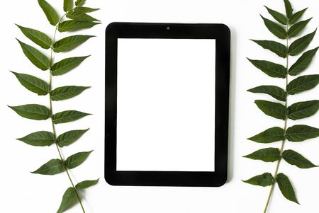Green leaves and tablet isolated on a white background. The concept of the workplace. Place for text. Flat lay. Top view. mock upの写真素材