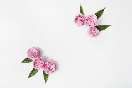 Frame of green leaves and pink flower buds isolated on a white background. Place for text. Flat lay. Top view. mock upの写真素材