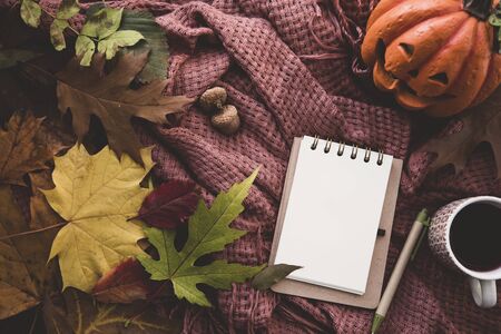 Autumn halloween composition. Cup of tae, blanket, notebook with pen, autumn dried leaves and acorn. Flat lay, top view, copy spaceの写真素材