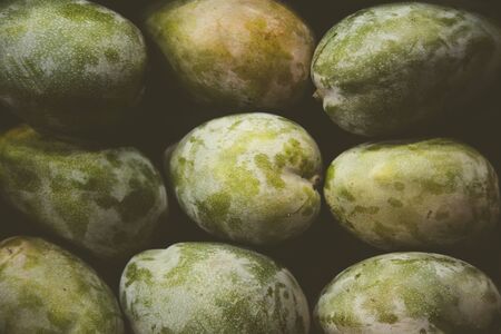 Fresh green tropical mango at outdoor farmers market in Egypt. Backgroundの写真素材
