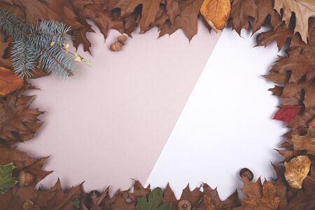 Autumn backdrop - frame composed of brown autumn dry leaves over beige colorの写真素材
