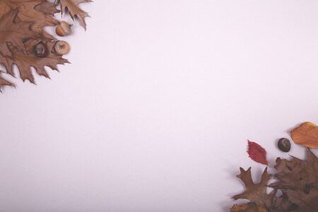 Autumn backdrop - frame composed of brown autumn dry leaves over beige colorの写真素材
