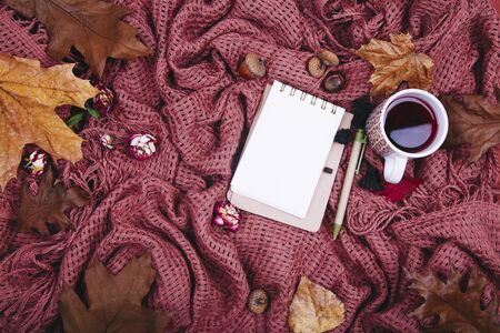 Autumn composition. Cup of tae, blanket, notebook with pen, autumn dried leaves and acorn. Flat lay, top view, copy spaceの写真素材