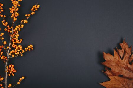 A sea buckthorn berries and dry leaves on a dark background. Autumn concept. Top view, flat lay composition. Copy space for textの写真素材